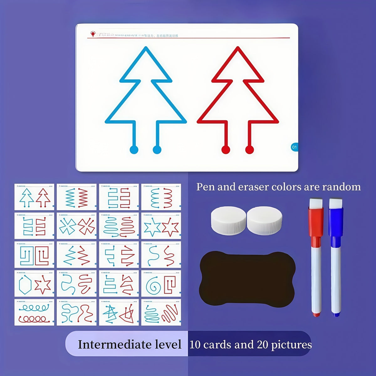 2-in-1 Brain Development Training Kit